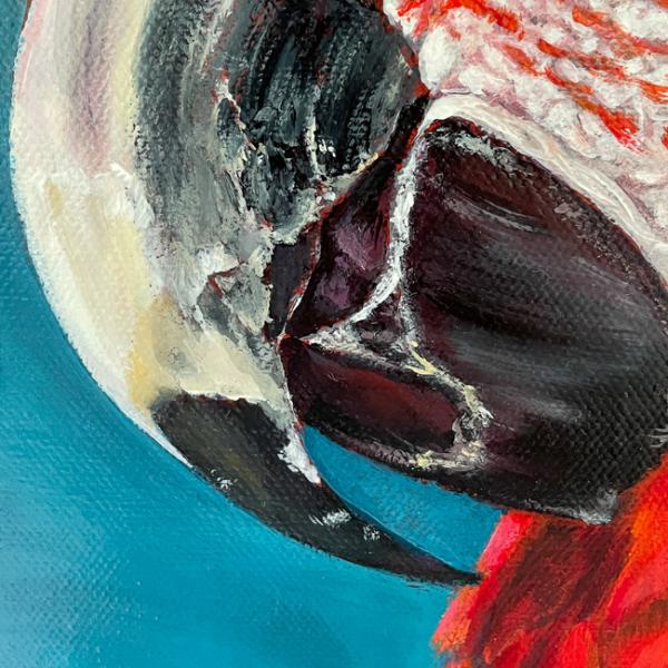 Ara, macaw parrot original acrylic parrot painting