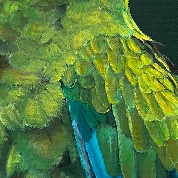 Soldarenara, Papagei Acrylgemälde