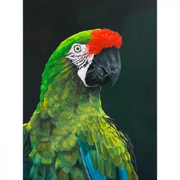 Soldarenara, Papagei Acrylgemälde