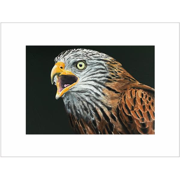 Red Kite bird of prey wall art print