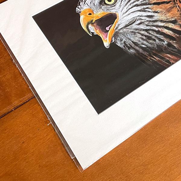 Red Kite bird of prey wall art print