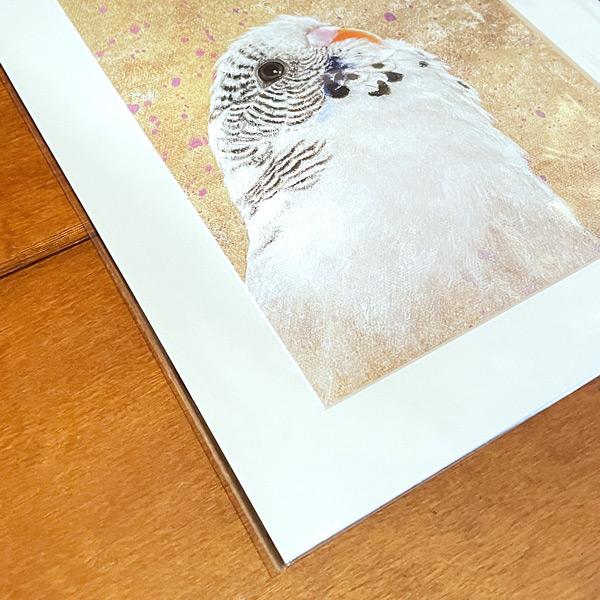 Wanddeko Kunstdruck Wellensittich